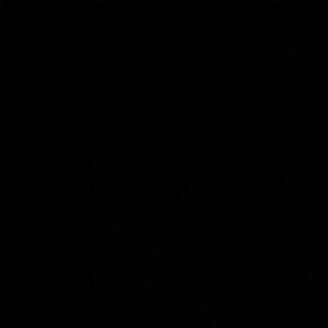 Meet your Posher, Destiny